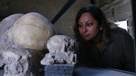 Raksha Dave - Pompeii's Final Hours: New Evidence - Z filmu