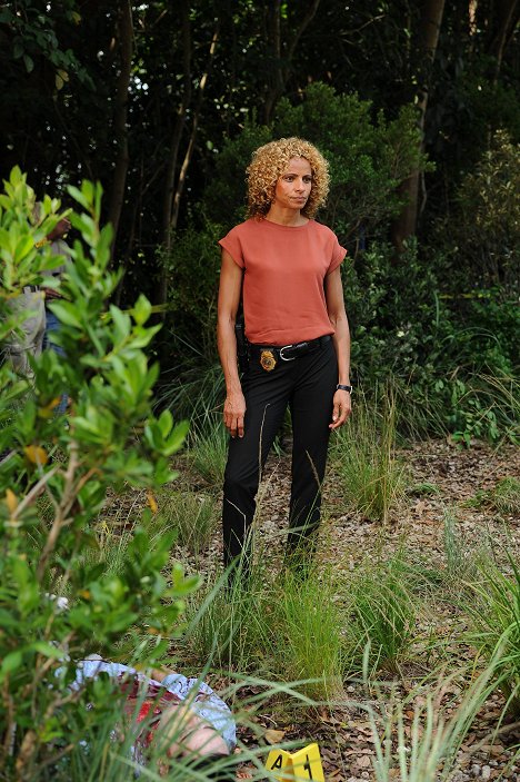 Michelle Hurd - Glades - Tengerparti gyilkosságok - Férfias játékok - Filmfotók