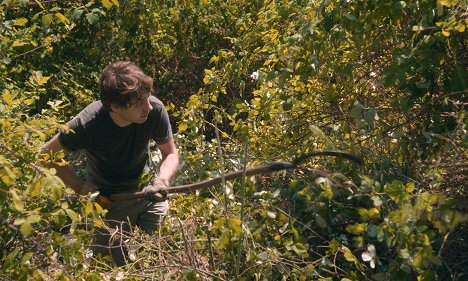 Joseph Rottner - Journal d'un disparu - Van film