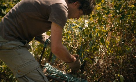 Joseph Rottner - Journal d'un disparu - Filmfotók