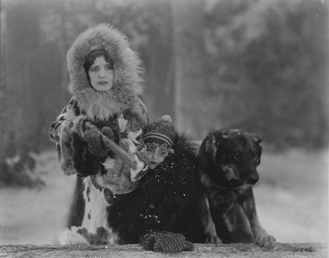 Alice Calhoun, Rin Tin Tin - A Hero of the Big Snows - Do filme