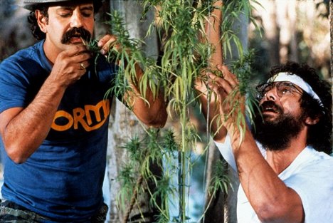 Cheech Marin, Tommy Chong - Vendemos chocolate - De la película