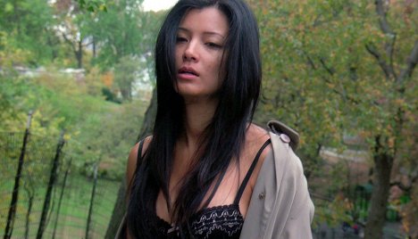 Kelly Hu - Law & Order: Special Victims Unit - Smut - Photos