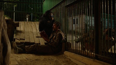 Igor Angelov - Godina na majmunot - De la película
