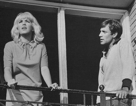 Stella Stevens, Alejandro Rey