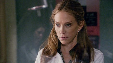 Ally Walker - Law & Order: Special Victims Unit - Conned - Photos