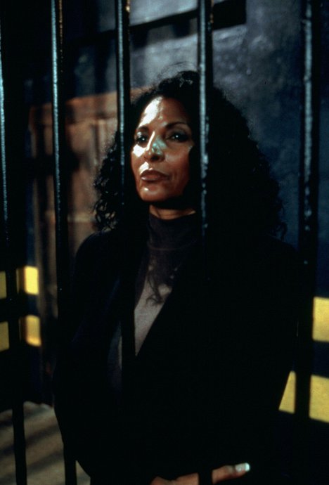 Pam Grier - Law & Order: Special Victims Unit - Disappearing Acts - Van film