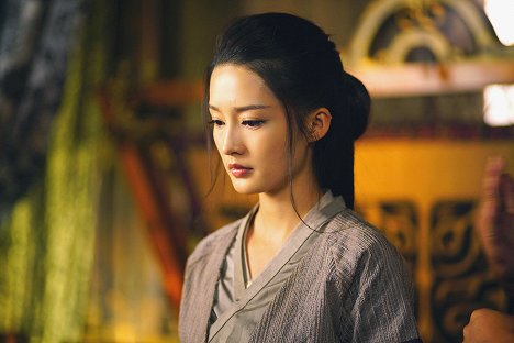 Qin Li - Princess Agents - Van film
