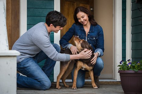 Ashley Judd - Egy kutya hazatér - Filmfotók