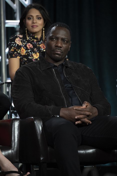 The cast and executive producers of ABC’s “The Fix” addressed the press at the 2019 TCA Winter Press Tour, at The Langham Huntington, in Pasadena, California - Adewale Akinnuoye-Agbaje - The Fix - Z akcií