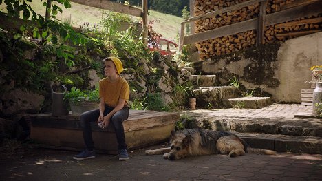 Lino de Greiff - Racko - Ein Hund für alle Fälle - Das Angebot - Filmfotók