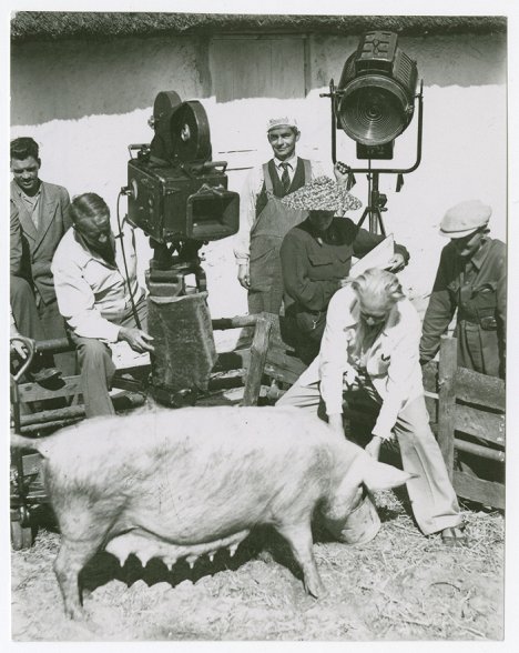 Julius Jaenzon - Jolanta, den gäckande suggan - Tournage