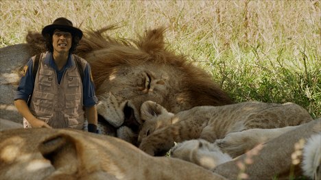 Andy Day - Andy na safari - Z filmu