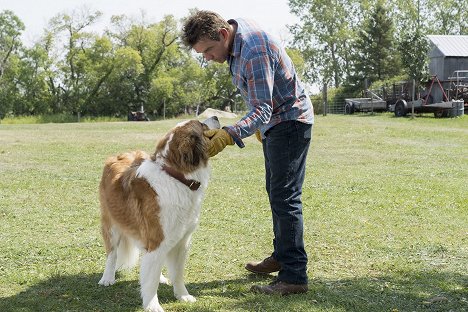 Dennis Quaid - Bailey - Ein Hund kehrt zurück - Filmfotos