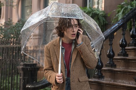 Timothée Chalamet - A Rainy Day in New York - Filmfotos