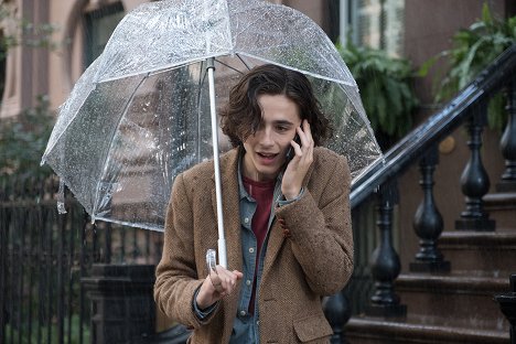 Timothée Chalamet - A Rainy Day in New York - Kuvat elokuvasta