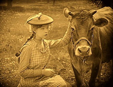 Lillian Gish - True Heart Susie - Filmfotos