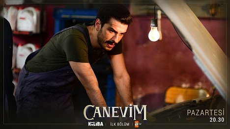 Aras Aydın - Canevim - Episode 1 - Cartões lobby