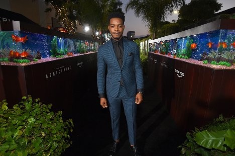 Premiere of Amazon Studios' 'Homecoming' at Regency Bruin Theatre on October 24, 2018 in Los Angeles, California - Stephan James - Homecoming - Season 1 - Events