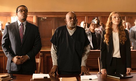 Russell Hornsby, Rachelle Lefevre - Proven Innocent - Pilot - De la película