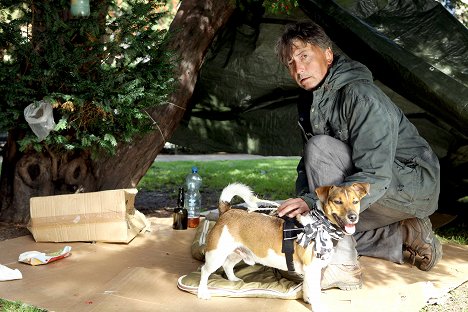 Günter Mokesch - SOKO Donau - Treibjagd - Photos