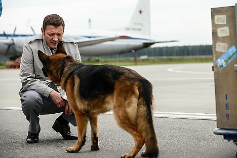 Yan Tsapnik - Ein Hund namens Palma - Dreharbeiten