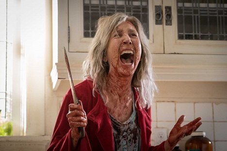 Lin Shaye - The Grudge - Photos