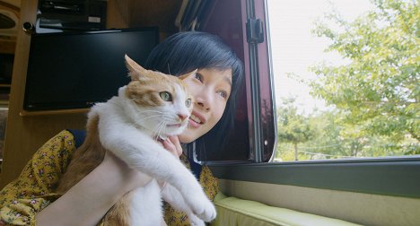 Sunwoo Sun - The Journey of the 12 Cats - Kuvat elokuvasta