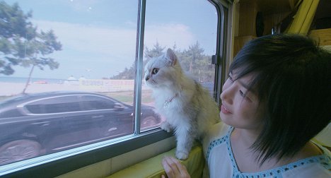 Sunwoo Sun - The Journey of the 12 Cats - Film