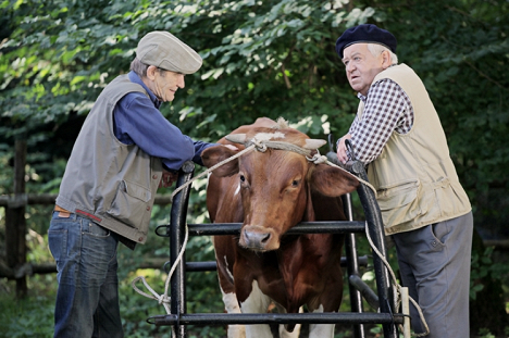 Krzysztof Kiersznowski, Marian Dziedziel - Blondynka - Niespodzianka - Do filme