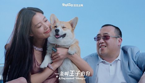 Wei Na - A Dog Named Wang Zi - Lobby Cards