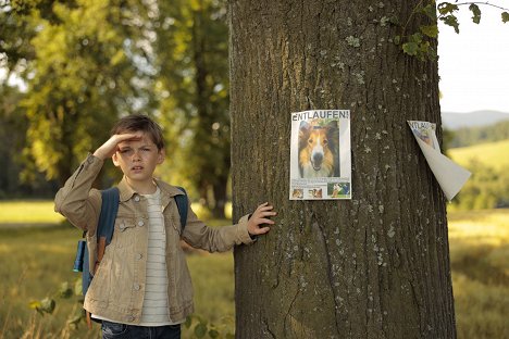 Nico Marischka - Lassie: Eine Abenteurliche Reise - Filmfotos