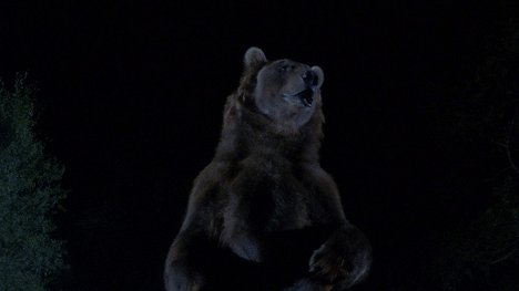 Bart der Bär - Berserker - Filmfotos