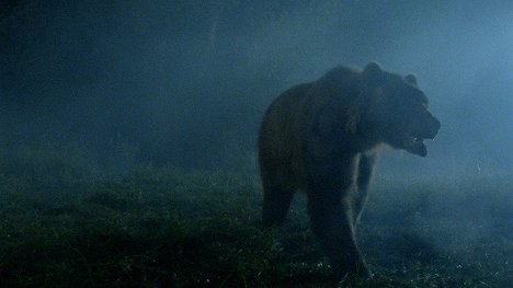 Bart el oso - Berserker - De la película