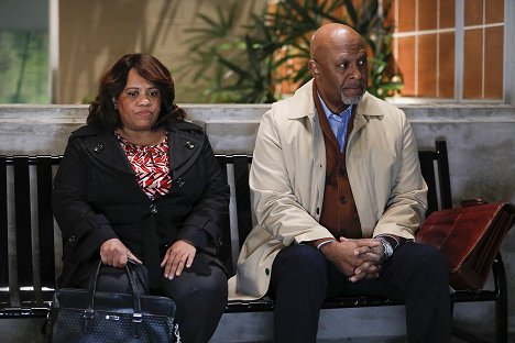 Chandra Wilson, James Pickens Jr. - Chirurgové - Diagnóza - Z filmu