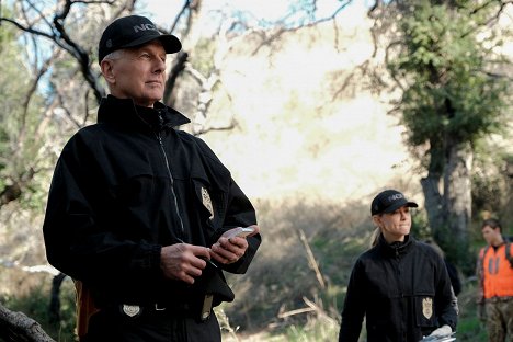 Mark Harmon - NCIS: Naval Criminal Investigative Service - Lonely Hearts - Photos