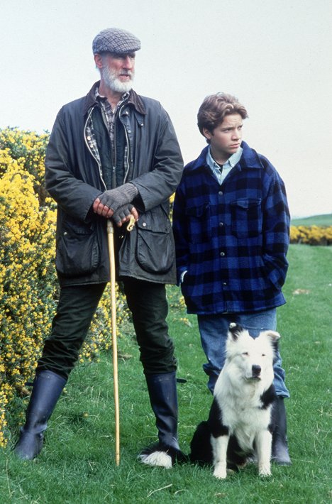 James Cromwell - Bob, a juhászkutya - Filmfotók