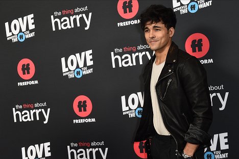 Premiere of the Freeform original film “The Thing About Harry,” on Wednesday, February 12, in Los Angeles, California - Niko Terho - The Thing About Harry - Z imprez
