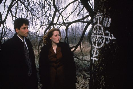 David Duchovny, Gillian Anderson - The X-Files - Mystère vaudou - Film