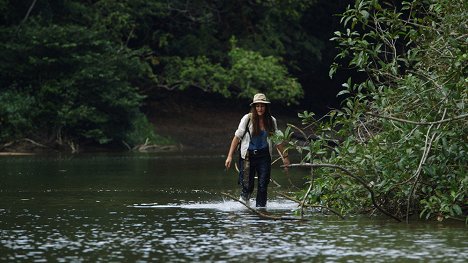 Caroline De Salvo - Au coeur de la vie sauvage - En Guyane - Filmfotos