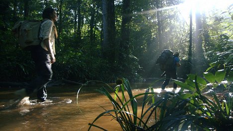 Caroline De Salvo - Au coeur de la vie sauvage - En Guyane - Film