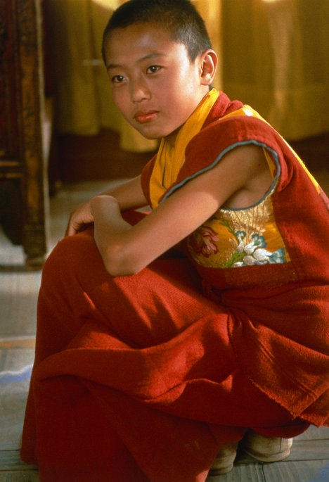 Sonam Wangchuk - Seven Years in Tibet - Photos
