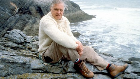 David Attenborough - The Trials of Life - Photos