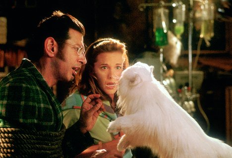 Jeff Goldblum, Elizabeth Perkins - Som hund och katt - Kuvat elokuvasta