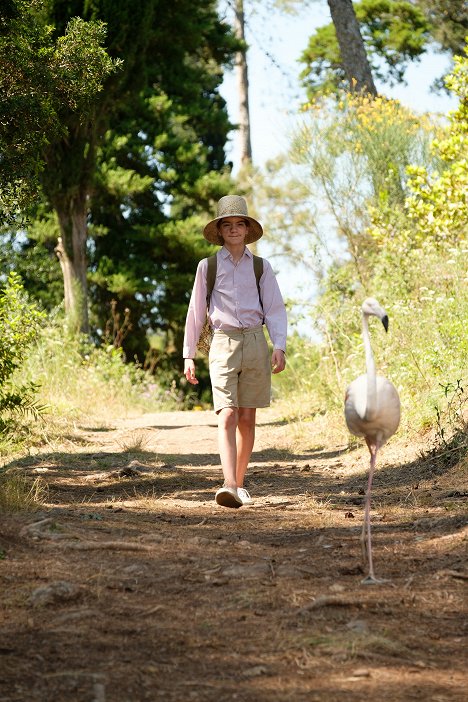 Milo Parker - The Durrells - Episode 1 - Photos