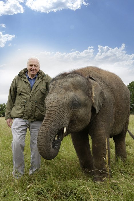 David Attenborough - Attenborough and the Giant Elephant - Kuvat elokuvasta