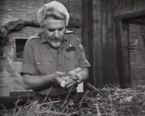 Otto König - Wunder der Tierwelt - Kuvat elokuvasta