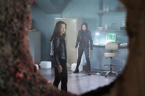 Ming-Na Wen - Agents of S.H.I.E.L.D. - Brand New Day - Van film