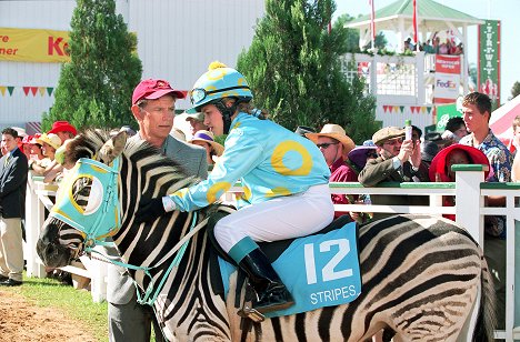 Bruce Greenwood, Hayden Panettiere - Im Rennstall ist das Zebra los! - Filmfotos