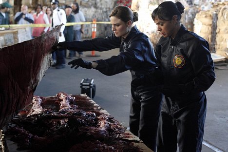 Emily Deschanel, Tamara Taylor - Bones - Die Knochenjägerin - Die Schöne in der Pappe - Filmfotos